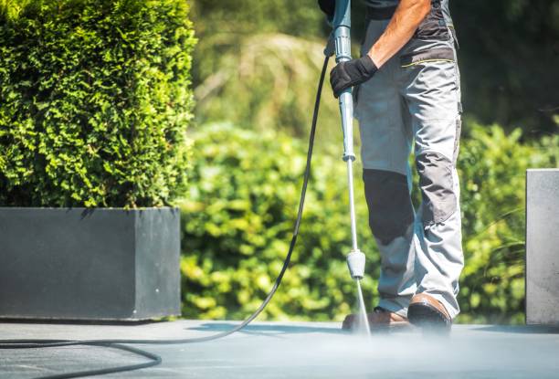 Best Animal Enclosure Cleaning  in Weston, NJ